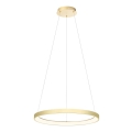 Redo 01-2673 - Светодиодная подвесная люстра с регулированием яркости ICONIC LED/50W/230V диаметр 58 см золотистый