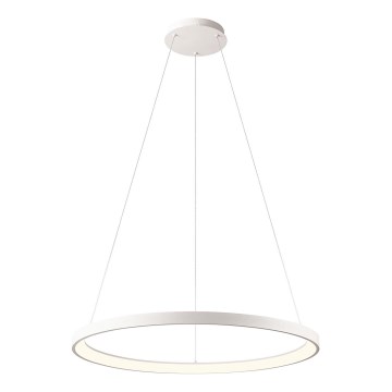 Redo 01-2675 - Диммируемая LED-люстра на тросе ICONIC LED/60W/230V, диаметр 78 см, белая