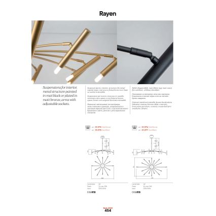 Redo 01-2775 - Люстра на штанге RAYEN 12xG9/10W/230V черный