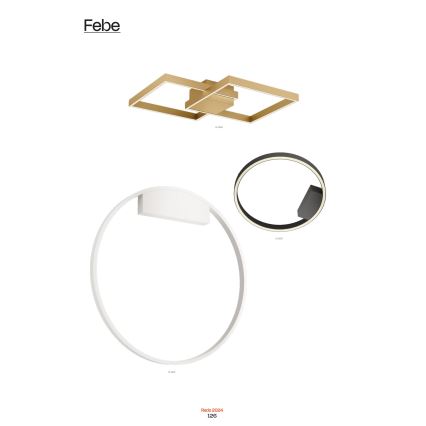 Redo 01-2817 - Светодиодный настенный светильник с регулированием яркости FEBE LED/24W/230V золотистый