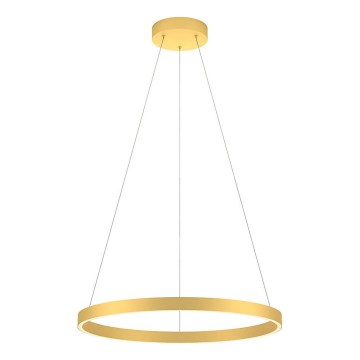 Redo 01-2865 - LED-підвісна люстра на тросі з регульованою яскравістю FEBE LED/37W/230V золота