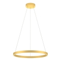 Redo 01-2865 - Світлодіодна підвісна люстра з регулюванням яскравості FEBE LED/37W/230V золотий