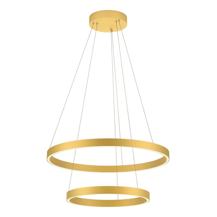 Redo 01-2889 - Светодиодная подвесная люстра с регулированием яркости FEBE LED/62W/230V золотистый