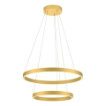 Redo 01-2889 - Світлодіодна підвісна люстра з регулюванням яскравості FEBE LED/62W/230V золотий