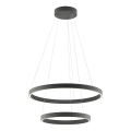 Redo 01-2891 - Светодиодная подвесная люстра с регулированием яркости FEBE LED/62W/230V черный