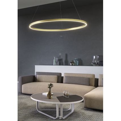 Redo 01-2891 - Светодиодная подвесная люстра с регулированием яркости FEBE LED/62W/230V черный