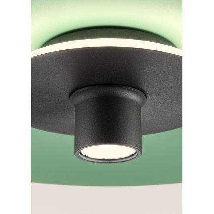 Redo 01-3019 - LED-люстра на тросі LARS LED/14W/230V + LED/10W, діам. 60 см, CRI 90, зелена