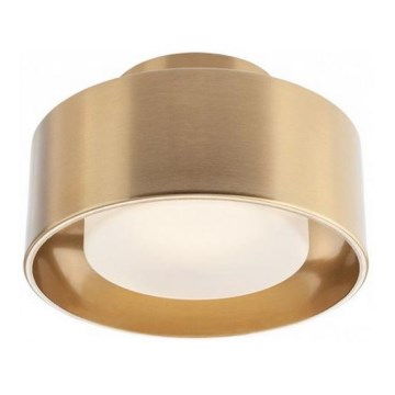 Redo 01-3097 - Светодиодный потолочный светильник PUNKT LED/6W/230V латунь
