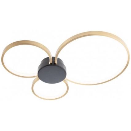 Redo 01-3105 - Светодиодный потолочный светильник ATOM LED/20W/230V