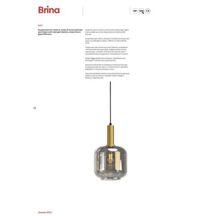 Redo 01-3214 - Подвесная люстра BRINA 5xE27/23W/230V