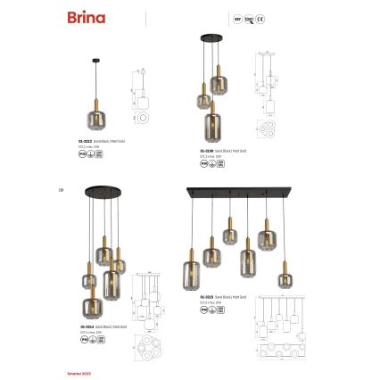 Redo 01-3214 - Подвесная люстра BRINA 5xE27/23W/230V