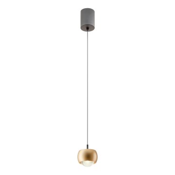Redo 01-3547 - Світлодіодна підвісна люстра AVES LED/12W/230V діаметр 9,6 см CRI 90 золотий