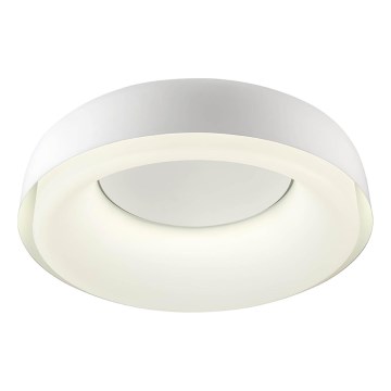 Redo 01-3940 - LED стельовий світильник DIP LED/30W/230V 2700/3000/4000/5000/6500K CRI 90 діам. 48,6 см білий