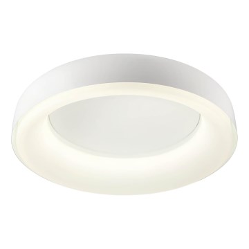 Redo 01-3941 - LED потолочный светильник DIP LED/40W/230V 2700/3000/4000/5000/6500K CRI 90 диаметр 62,4 см белый