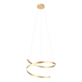 Redo 01-4014 - LED люстра на тросі SCROLL, з можливістю регулювання яскравості, LED/38W/230V, 3000K/4000K/6000K, CRI 90, діаметр 60 см, золота