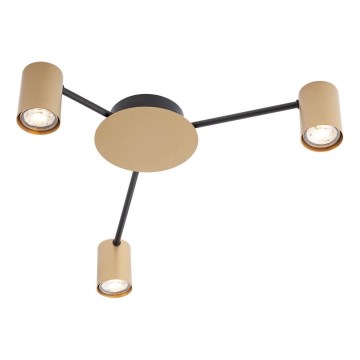 Redo 01-4049 - Точечный светильник NOA 3xGU10/10W/230V золотистый
