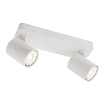 Redo 04-469 - Прожектор CAMEO 2xGU10/50W/230V