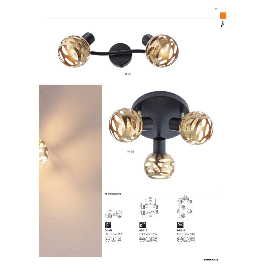 Redo 04-517 - Настенный точечный светильник TORN 2xE14/28W/230V
