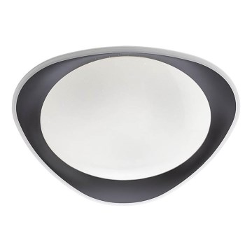 Redo 05-922 - Стельовий LED світильник VERENA LED/24W/230V антрацит