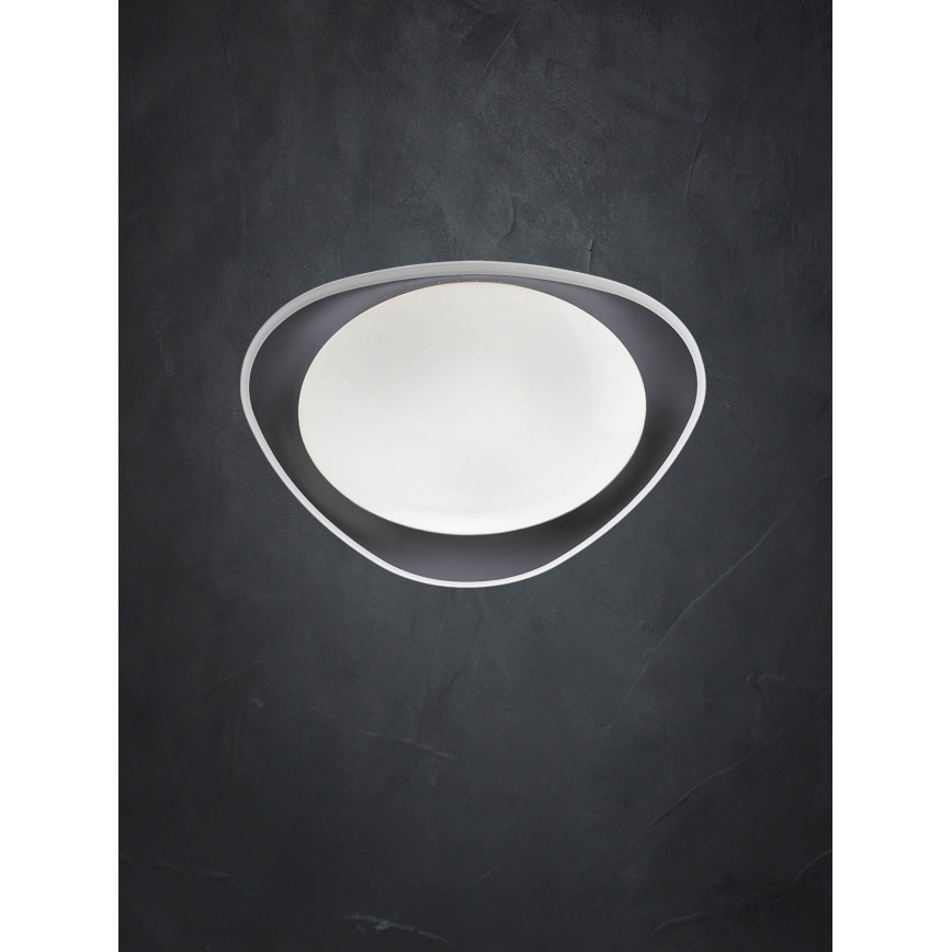 Redo 05-922 - Светодиодный потолочный светильник VERENA LED/24W/230V антрацит