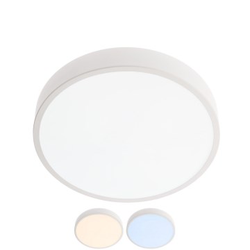 Redo 05-928 - Світлодіодний стельовий світильник KNOB LED/24W/230V 3000K-6500K 30 см білий