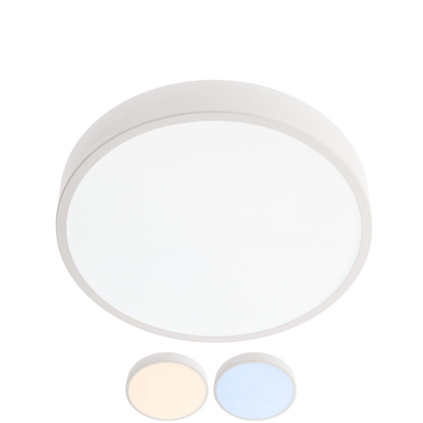 Redo 05-928 - Світлодіодний стельовий світильник KNOB LED/24W/230V 3000K-6500K 30 см білий