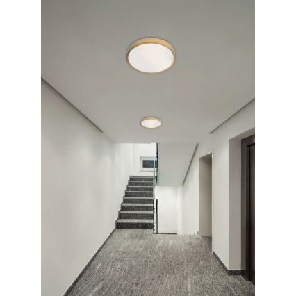Redo 05-932 - Светодиодный потолочный светильник KNOB LED/36W/230V 3000K-6500K 40 см золотой