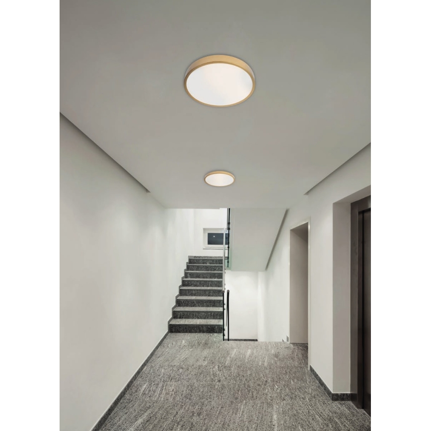 Redo 05-932 - Светодиодный потолочный светильник KNOB LED/36W/230V 3000K-6500K 40 см золотой