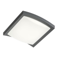 Redo 90007 - Вуличний світлодіодний стельовий світильник TALLIN LED/21W/230V 24,5x24,5 см IP54 антрацит