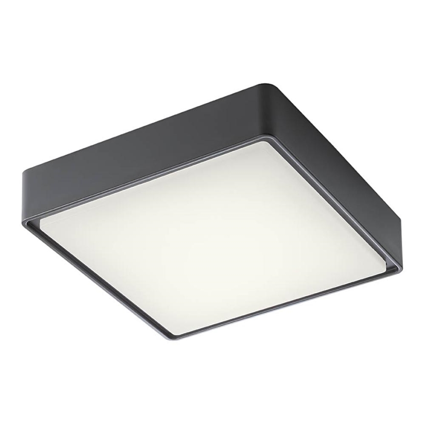 Redo 90157 - Светодиодный уличный потолочный светильник MARINA LED/12W/230V 22x22 см IP65 антрацит