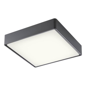 Redo 90158 - Вуличний світлодіодний стельовий світильник MARINA LED/16W/230V 29,6x29,6 см IP65 антрацит