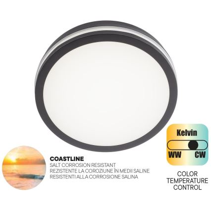 Redo 90286 - Светодиодный уличный потолочный светильник ISOLA LED/24W/230V диаметр 26 см 3000/4000/6500K IP54 антрацит