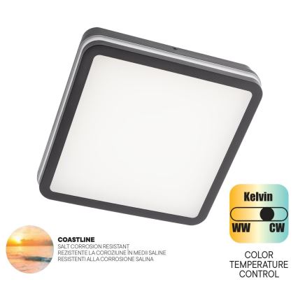 Redo 90288 - Вуличний світлодіодний стельовий світильник ISOLA LED/24W/230V 26x26 см 3000/4000/6500K IP54 антрацит