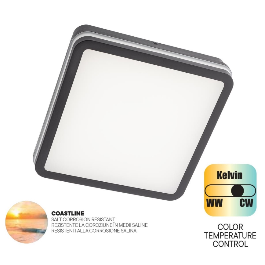 Redo 90288 - Вуличний світлодіодний стельовий світильник ISOLA LED/24W/230V 26x26 см 3000/4000/6500K IP54 антрацит