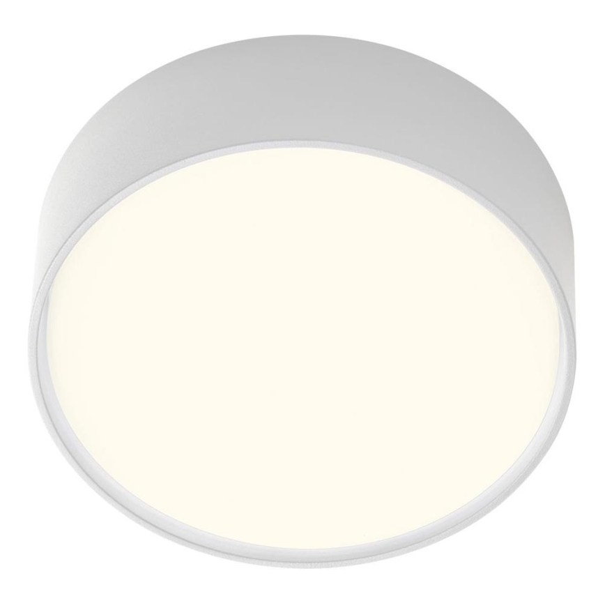 Redo 90494 - Вуличний світлодіодний стельовий світильник URANIA LED/10W/230V діаметр 16 см 3000K IP65 білий