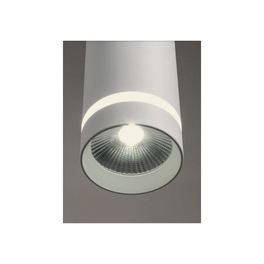 Redo 90513 - Светодиодный уличный подвесной светильник KLOU LED/9W/230V IP54 белый
