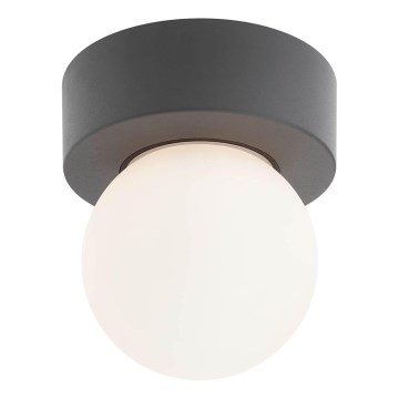 Redo 90641 - Уличный потолочный светильник BULK 1xE27/28W/230V IP44 антрацит