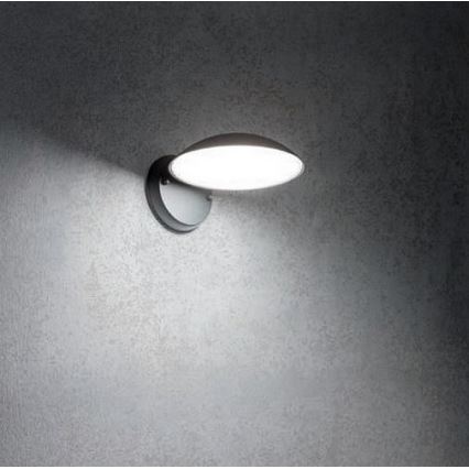 Redo 9617 - Светодиодная уличная настенная лампа CAPP LED/12W/230V IP54 антрацит