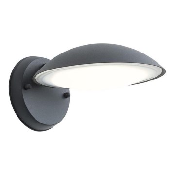 Redo 9617 - Вуличний настінний LED ліхтар CAPP LED/12W/230V IP54 антрацит