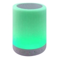 RGB-светодиодная настольная лампа с динамиком LED/5V