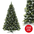 Різдвяна ялинка 250 см, сосна