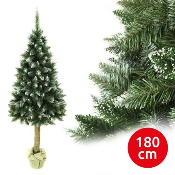 Різдвяна ялинка на стовбурі 180 см ялиця