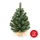 Різдвяна ялинка XMAS TREES 50 cm сосна