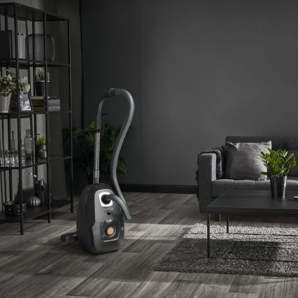 Rowenta - Пилосос з мішком для збору пилу GREEN FORCE EFFITECH ECO TOTAL CLEAN 400W/230V чорний