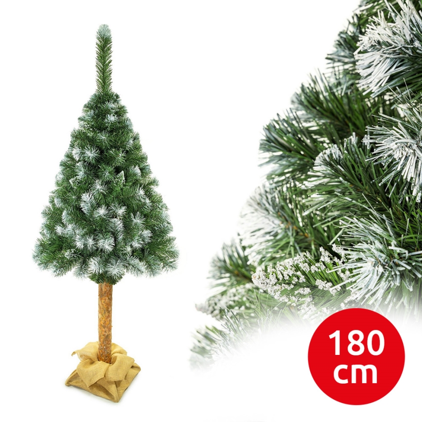 Рождественская елка на стволе 180 см сосна