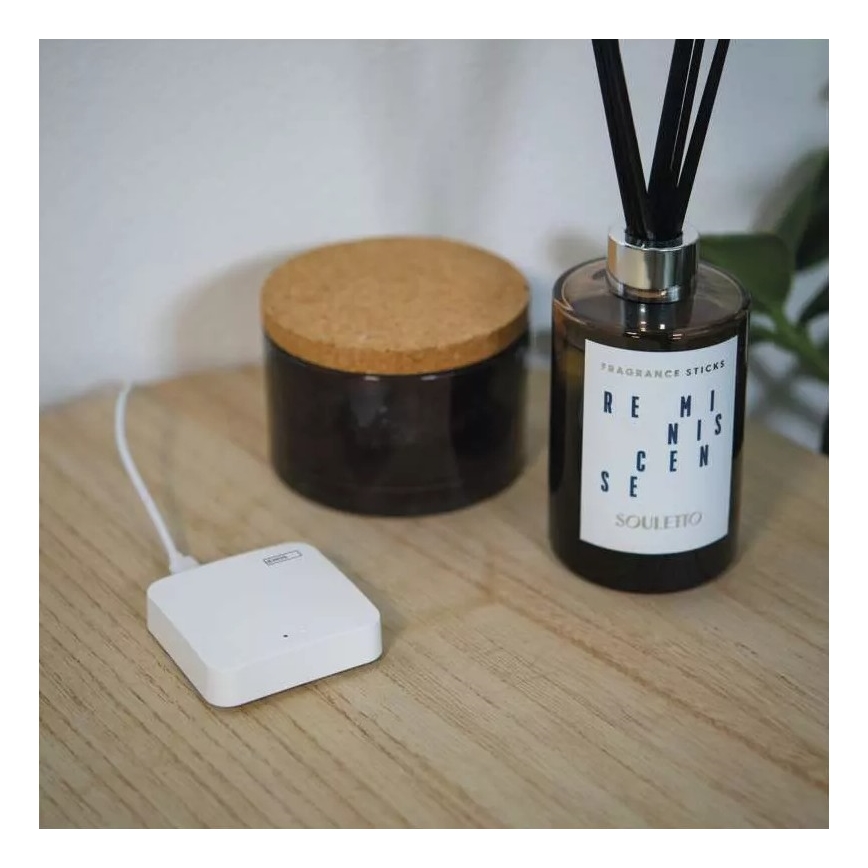 Розумний шлюз GoSmart ZigBee 3.0 5V Wi-Fi