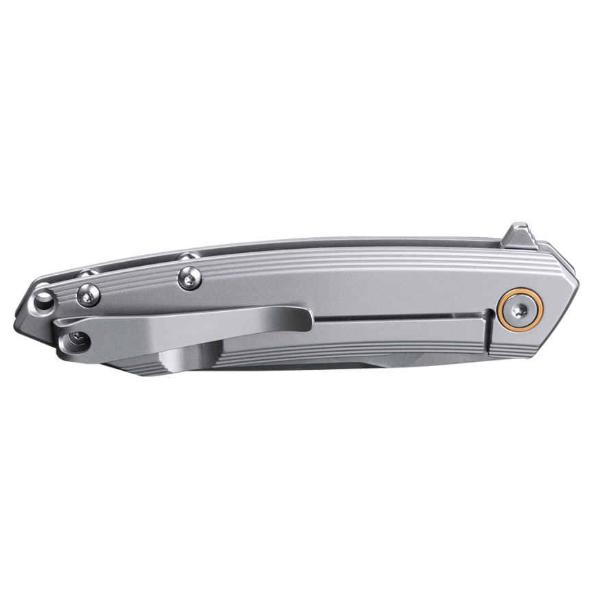 Ruike RUP831SSA - Складаний компактний ніж 19,5 см срібний
