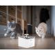 Розумний фонтан для домашніх тварин 3,5л 230V Wi-Fi
