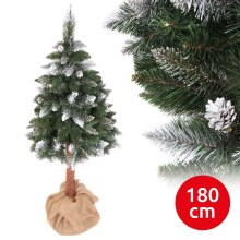 Різдвяна ялинка PIN 180 cm сосна