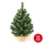 Різдвяна ялинка XMAS TREES 50 cm сосна